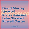 murray6